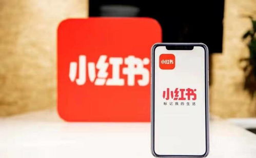 杭州噫融网络 以专业运营驱动小红书种草推广，助力计算机软硬件品牌抢占市场先机